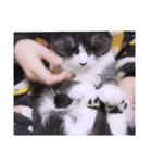 2階ねこーずスタンプ2021～2023（個別スタンプ：5）