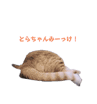 2階ねこーずスタンプ2021～2023（個別スタンプ：6）