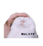 2階ねこーずスタンプ2021～2023（個別スタンプ：9）