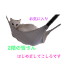 2階ねこーずスタンプ2021～2023（個別スタンプ：13）