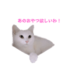2階ねこーずスタンプ2021～2023（個別スタンプ：14）