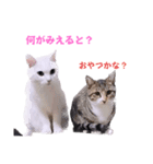 2階ねこーずスタンプ2021～2023（個別スタンプ：17）