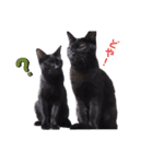 2階ねこーずスタンプ2021～2023（個別スタンプ：27）