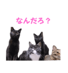 2階ねこーずスタンプ2021～2023（個別スタンプ：29）