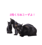 2階ねこーずスタンプ2021～2023（個別スタンプ：30）
