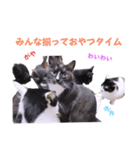 2階ねこーずスタンプ2021～2023（個別スタンプ：35）
