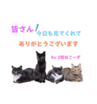 2階ねこーずスタンプ2021～2023（個別スタンプ：38）