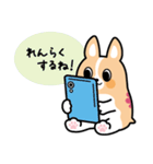 ちばコーギー（個別スタンプ：4）