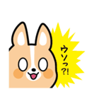 ちばコーギー（個別スタンプ：5）