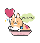 ちばコーギー（個別スタンプ：6）