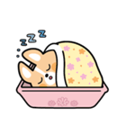 ちばコーギー（個別スタンプ：9）