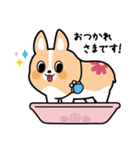 ちばコーギー（個別スタンプ：11）