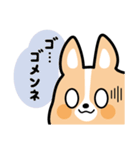 ちばコーギー（個別スタンプ：13）