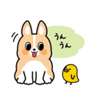 ちばコーギー（個別スタンプ：15）