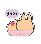 ちばコーギー（個別スタンプ：16）