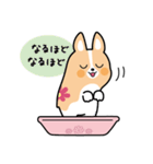 ちばコーギー（個別スタンプ：19）