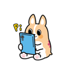 ちばコーギー（個別スタンプ：20）