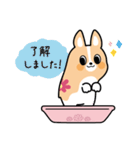 ちばコーギー（個別スタンプ：21）
