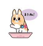 ちばコーギー（個別スタンプ：22）