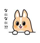 ちばコーギー（個別スタンプ：32）