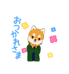 柴犬だぞースタンプ（個別スタンプ：4）