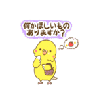 インコちゃんの敬語スタンプ（個別スタンプ：8）