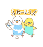 インコちゃんの敬語スタンプ（個別スタンプ：12）