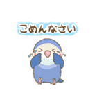 インコちゃんの敬語スタンプ（個別スタンプ：16）