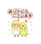 インコちゃんの敬語スタンプ（個別スタンプ：17）