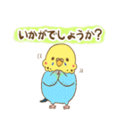 インコちゃんの敬語スタンプ（個別スタンプ：24）