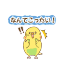 インコちゃんの敬語スタンプ（個別スタンプ：31）