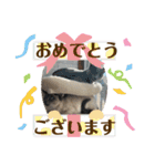 ロシアンとトンキ02（個別スタンプ：14）