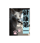 ロシアンとトンキ02（個別スタンプ：23）