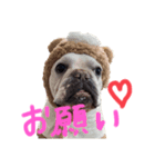むぎちと愉快な仲間達（個別スタンプ：5）