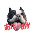 むぎちと愉快な仲間達（個別スタンプ：8）