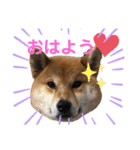 れお☆スタンプ（個別スタンプ：4）