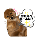 れお☆スタンプ（個別スタンプ：8）