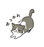 ココちゃん 猫スタンプ（個別スタンプ：2）