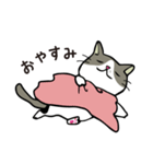 ココちゃん 猫スタンプ（個別スタンプ：3）