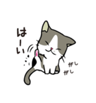 ココちゃん 猫スタンプ（個別スタンプ：4）
