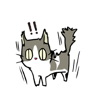 ココちゃん 猫スタンプ（個別スタンプ：7）
