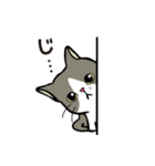 ココちゃん 猫スタンプ（個別スタンプ：8）