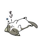 ココちゃん 猫スタンプ（個別スタンプ：9）