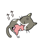 ココちゃん 猫スタンプ（個別スタンプ：13）