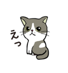 ココちゃん 猫スタンプ（個別スタンプ：16）