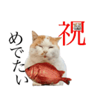 俺、いちのじょう。.3（個別スタンプ：2）