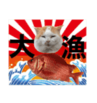 俺、いちのじょう。.3（個別スタンプ：11）
