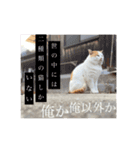俺、いちのじょう。.3（個別スタンプ：16）