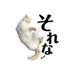俺、いちのじょう。.3（個別スタンプ：23）
