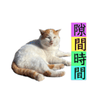 俺、いちのじょう。.3（個別スタンプ：35）
